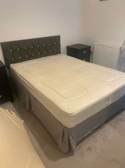 Photo of free Double Divan Bed (Springfield CM1) #1