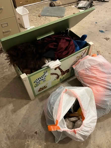 Photo of free Toy chest with costumes and toys (Upper Silver Spring) #1