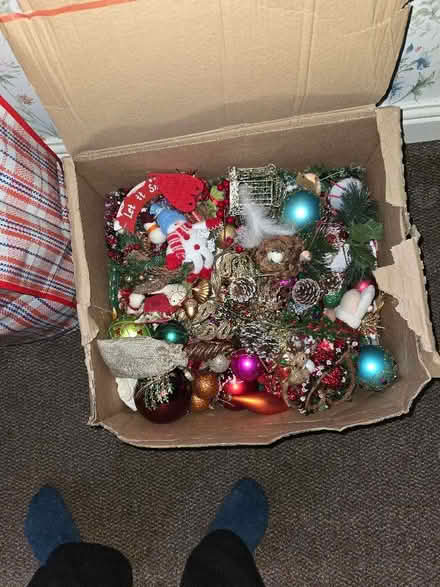 Photo of free Christmas decs (Shifnal TF11) #2