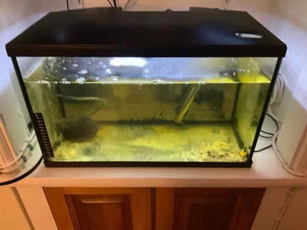 Photo of free Aquarium (Okus SN1) #1