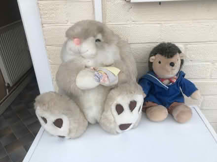 Photo of free Cuddles big rabbit (Horsehay TF4) #1