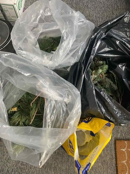 Photo of free Fresh wreath making supplies (Wisewood S6) #2