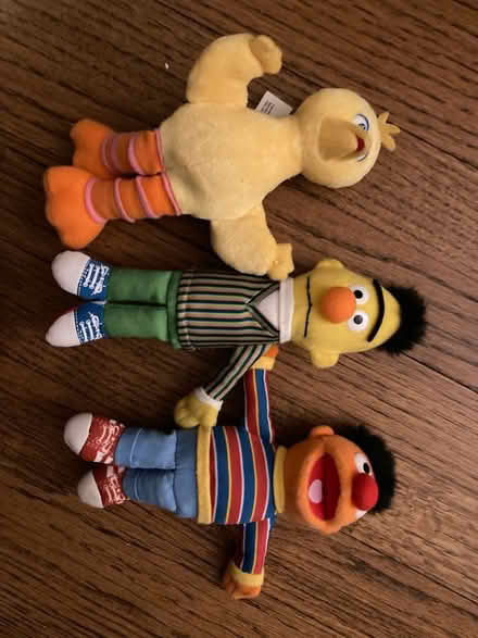 Photo of free Small Sesame Street stuffies (Loh Park in Tarrytown) #1