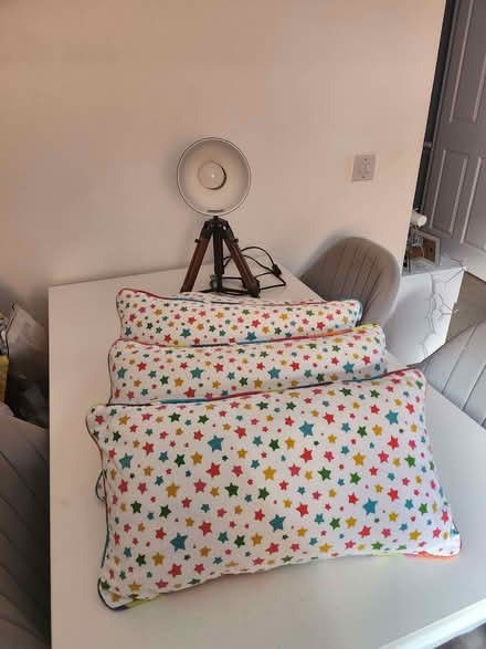Photo of free Lamp and cushions (Seaside BN22) #1
