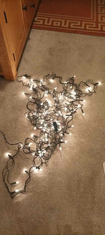 Photo of free Christmas lights (Penrith CA11) #1