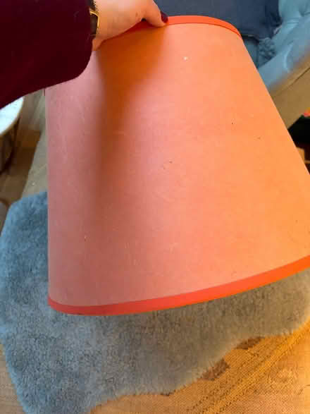 Photo of free Pooky lampshade (Southfields) #2