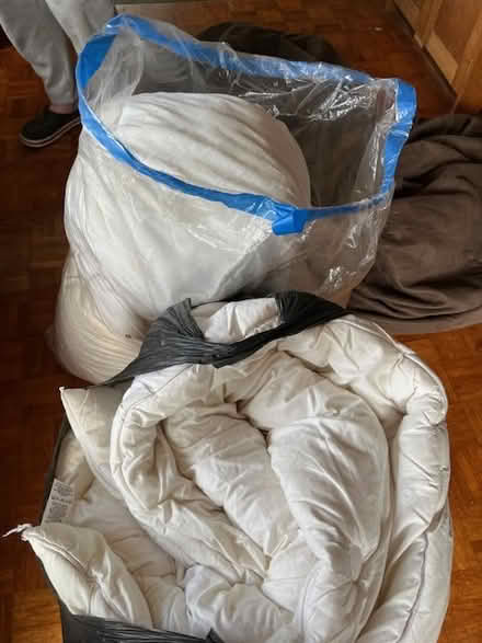 Photo of free Duvets and bean bags (Stroud) #1
