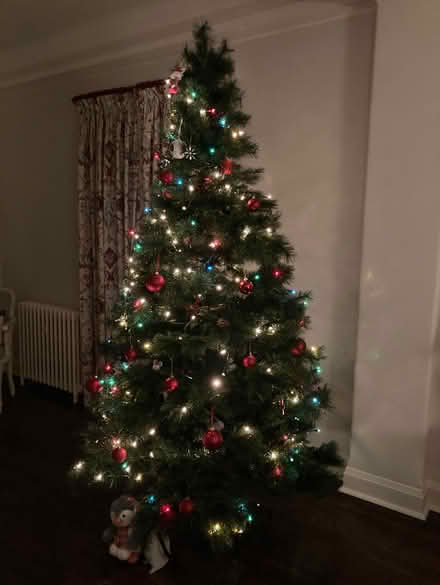 Photo of free John Lewis Christmas tree (Amersham HP7) #1