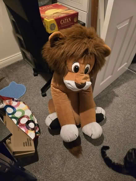 Photo of free A very big cuddly lion. (Fenham NE5) #1