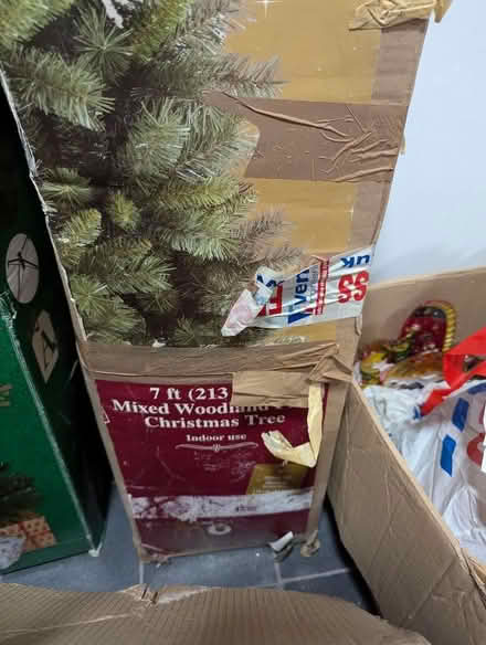 Photo of free Christmas Trees and Decorations (Upper Parkstone BH14) #3