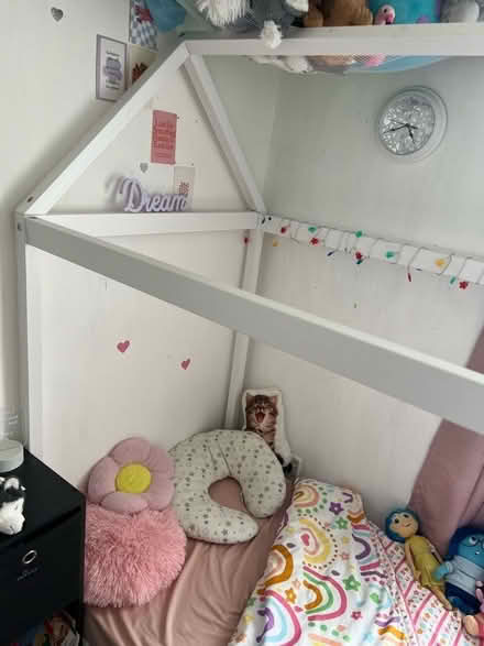 Photo of free House shaped single bed in white (Knotty Ash L14) #3