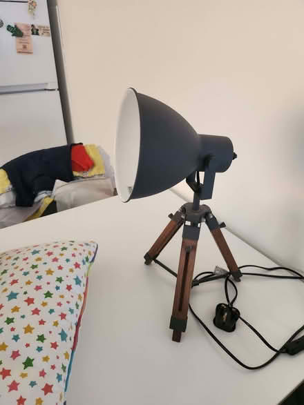 Photo of free Lamp and cushions (Seaside BN22) #2