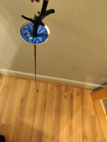 Photo of free Fencing Sword (Lifford B30) #1
