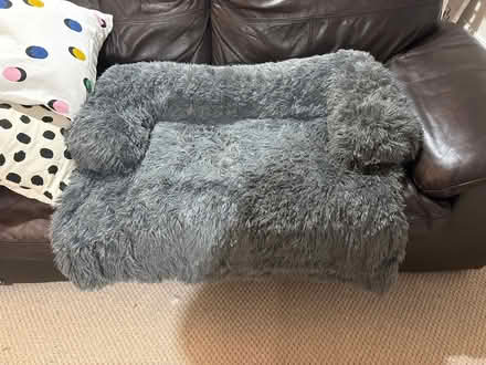 Photo of free Sofa dog bed (Winchester, SO22) #1