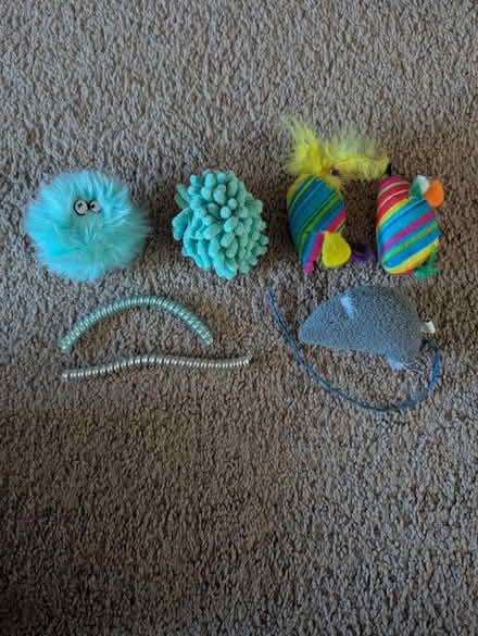 Photo of free Cat toys (280/Winchester) #1