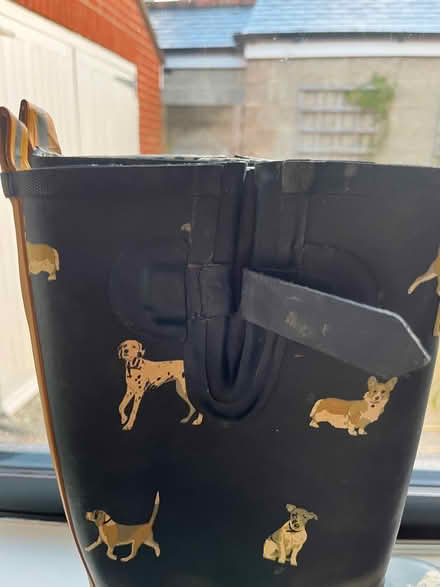 Photo of free Wellies size 7 (PO12 2 Gosport) #4