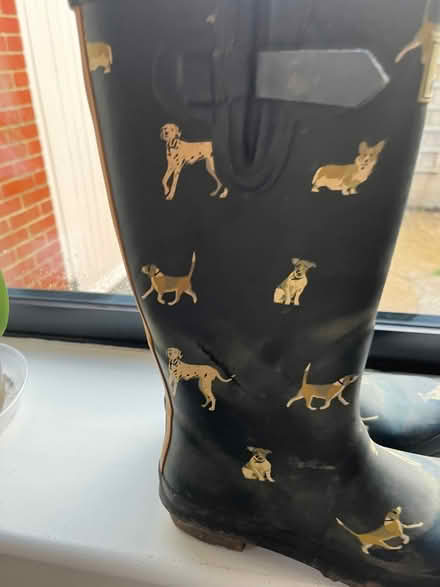 Photo of free Wellies size 7 (PO12 2 Gosport) #3