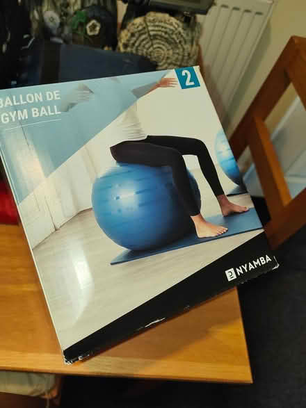 Photo of free Exercise ball (Basildon) #1