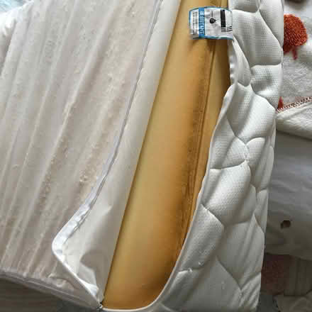 Photo of free Single (90cm) mattress (West Wickham BR4) #2