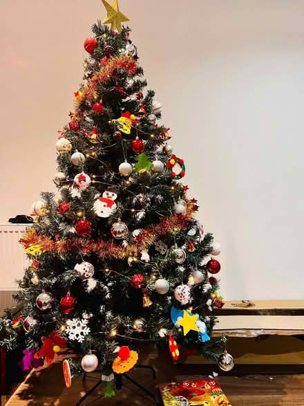 Photo of free Christmas Tree (HA9) #1