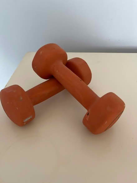 Photo of free 2kg exercise weights (HP3 8BQ) #1