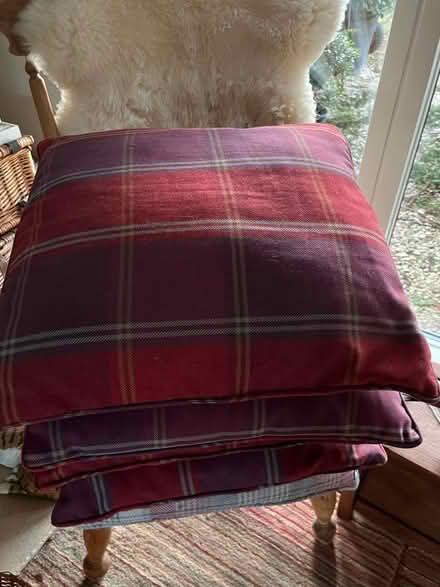 Photo of free Cushions (Northmoor OX29) #1