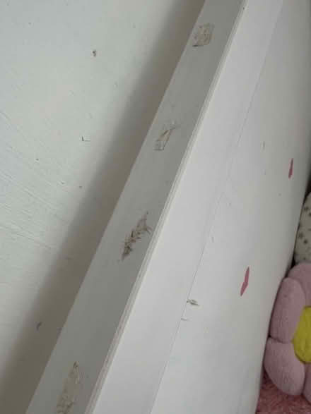 Photo of free House shaped single bed in white (Knotty Ash L14) #4