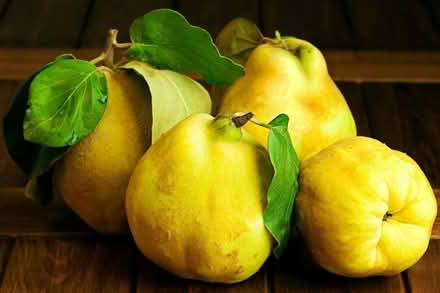 Photo of Quince (Buckingham MK18) #1