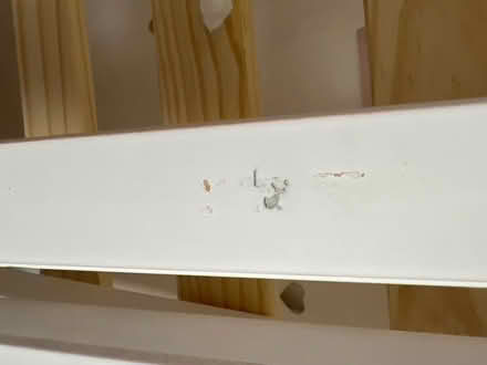 Photo of free House shaped single bed in white (Knotty Ash L14) #1