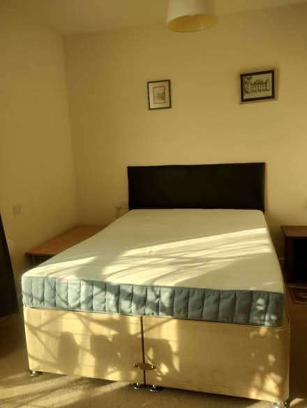 Photo of free Double bed (W14) #1