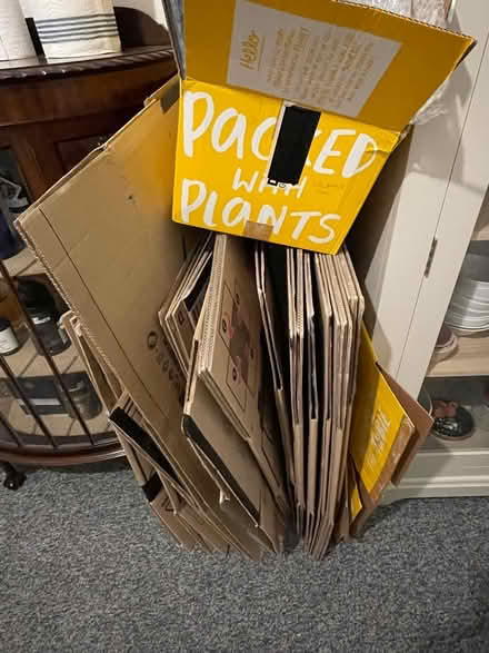 Photo of free Moving boxes (E17) #1