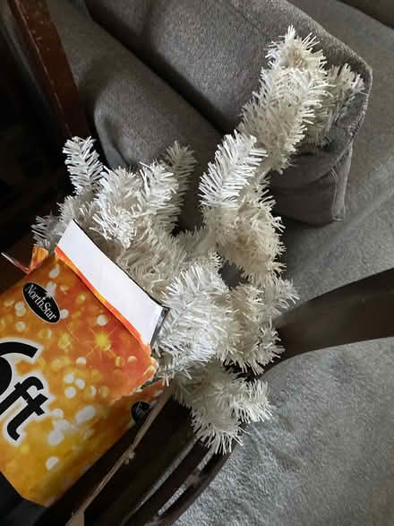 Photo of free White Christmas tree (B29) #3
