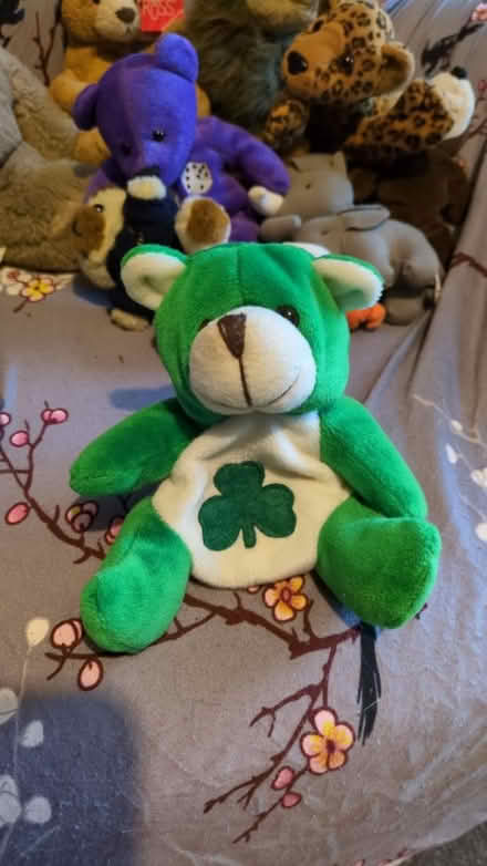 Photo of free Teddies (MK45) #2
