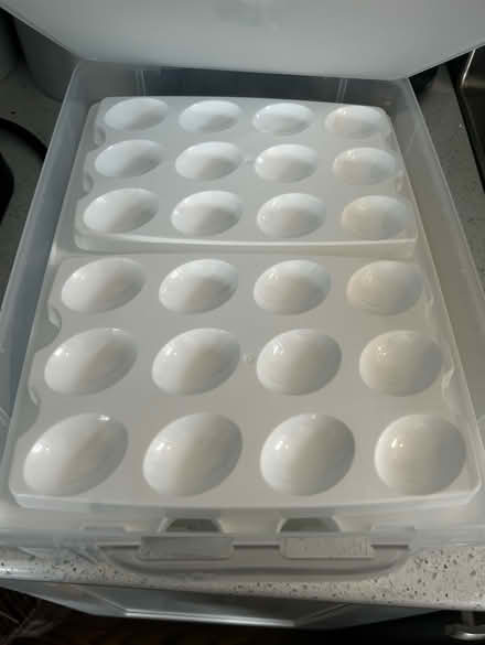 Photo of free Cupcake Carrier (Bucknell Manor - Alexandria) #4