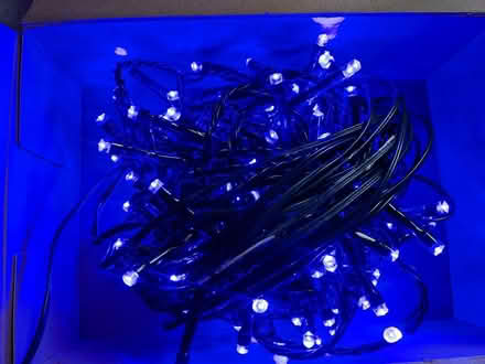 Photo of free Christmas lights (Throop) #2