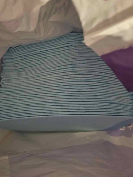 Photo of free Puppy training pads (27) (Shirley, Croydon) #2