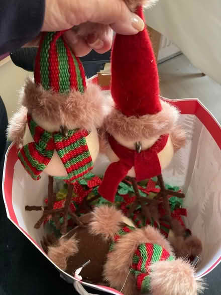 Photo of free Robins (Poulton FY3) #1