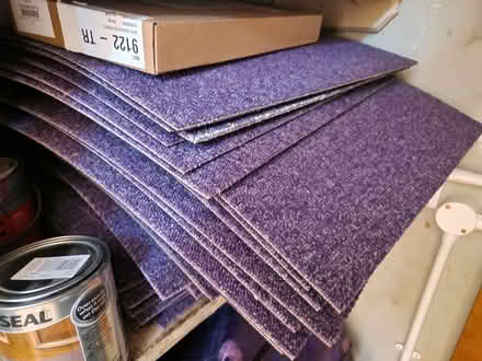 Photo of free Purple carpert tiles (St Albans Central) #1