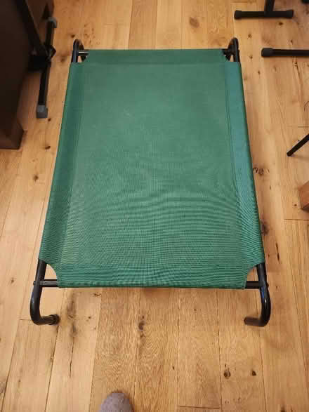 Photo of free Raised dog bed (Matlock DE4) #1