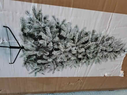 Photo of free 6ft Christmas Tree (Caerphilly CF83) #2