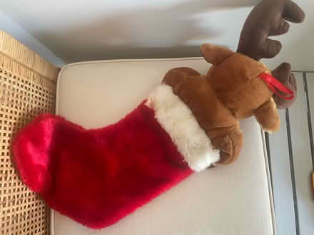 Photo of free Various Christmas Stockings (Nob Hill, San Francisco, CA) #3