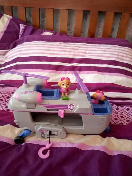 Photo of free Sky from paw patrol (Dukinfield) #1