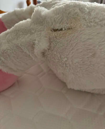 Photo of free Large stuffed horse with wings (Halfway G72) #2