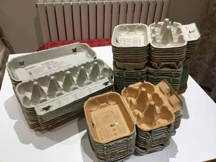 Photo of free Egg boxes (Millhouses S7) #1