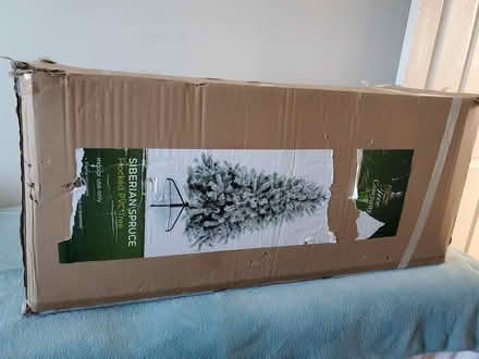 Photo of free 6ft Christmas Tree (Caerphilly CF83) #1