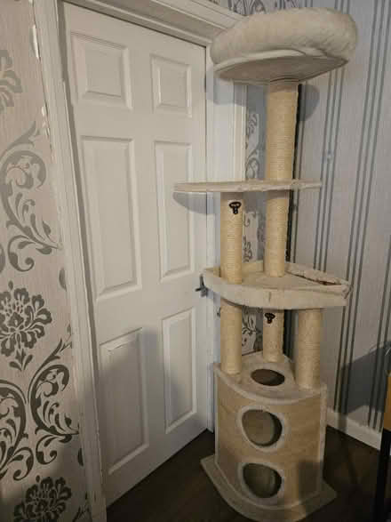 Photo of free Tall cat tree (Burnage M19) #1