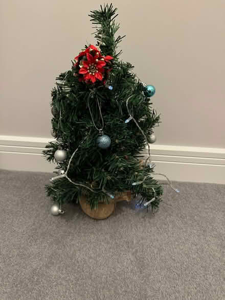 Photo of free Small Christmas Tree (Aspley NG8) #1
