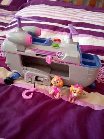 Photo of free Sky from paw patrol (Dukinfield) #2