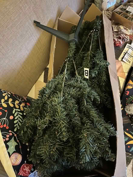 Photo of free Brand new Next 6ft Christmas tree (Coleridge Ward CB1) #1