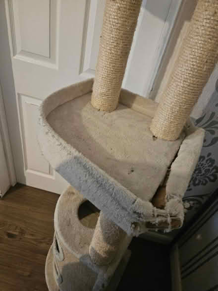 Photo of free Tall cat tree (Burnage M19) #2